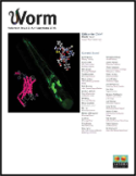 Worm journal issue